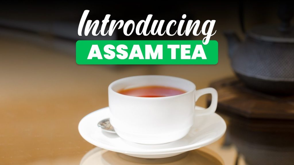 Exploring the Rich History and Intense Flavor of Assam Tea